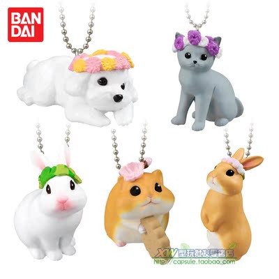 bandai万代正版扭蛋玩具带花环的小动物挂饰仓鼠猫咪小狗挂件现货