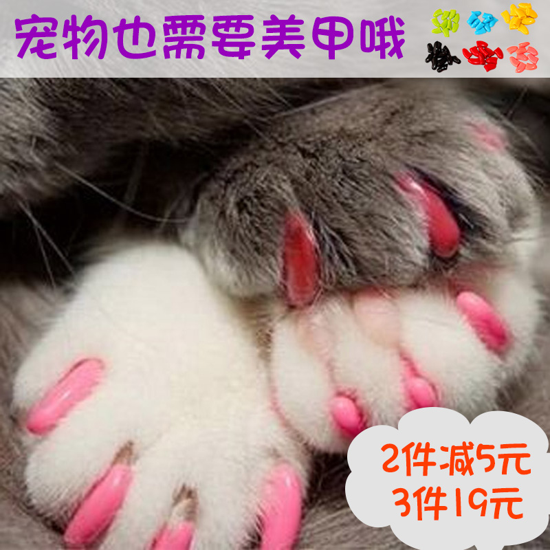 Уход за котенком за когтями Уход за котенком за когтями