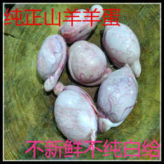 踩睾丸||踩睾丸价格_踩睾丸||踩睾丸图片