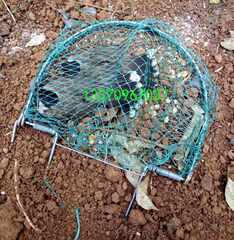 东港小城网||东港小城网店铺-东港小城网||东港