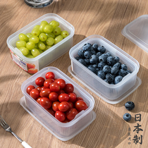 Japan Imported Portable Fruit Box Out of Carry Boxed Box Fridge Shallot Drain Refreshing Box Ginger Garlic Intake Box