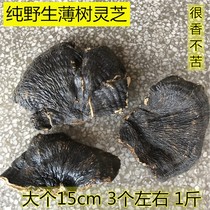 Wild thin tree Ganoderma lucidum Hakka deep mountain thin tree Zhizhi thin cover Zhizhi selected 500 grams of soup and about 4 pieces of tea