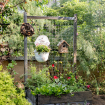 Han wrought iron climbing cane grid frame Japanese Korean space partition fence plant climbing flower stand free combination