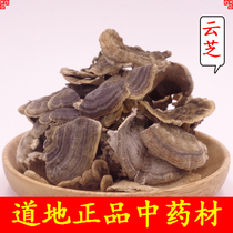 Changbai Mountain Natural Yunzhi 500g Yunzhi Mushroom Ganoderma