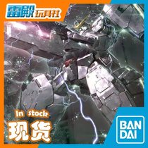 (Leidian) spot replenishment Bandage MG 1 100 German Angel Gundam Nadre assembled model