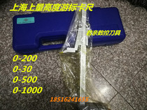 Shanghai upper measuring vernier height gauge 0-200-300-500-1000mm height vernier caliper marking height