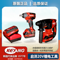 Qiyang 20V rechargeable electric hammer drill angle grinder electric wrench charger 4 0 5 0 lithium battery accessories