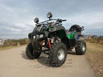 125cc with reverse gear double aluminium row modified shelving four wheels big bull beach car double seat beach motorcycle