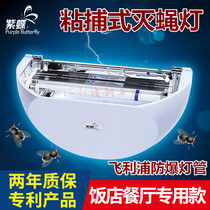 Purple Butterfly 1 Sticky Trap of Drosophila Insect Repellent for Fly Gods Restaurant Restaurant Hotel Shops with Wall-mounted Wall Extermination