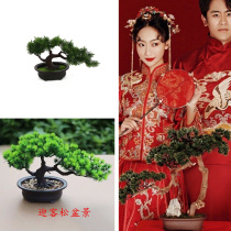 New Chinese photo-prop potted plant YingGuest Imitation Classical Show and Chinese Wind Gutting Filming Pendulum Green Planting