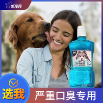 Dog mouthwash deodorant cat edible drinking water Pet Oral cleaning dental powder stone removal products