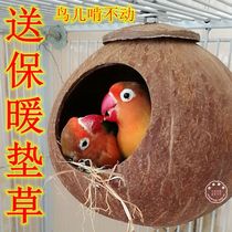 Peony tiger skin Pearl bird nest coconut shell nest parrot nest size creativity