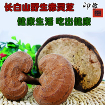 Northeast specialty Changbai Mountain semi-wild Ganoderma Linzhi flake powder spore powder red Ganoderma lucidum edible fungus 250g