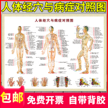 Traditional Chinese Medicine Moxibustion Point Map Acupuncture Meridian Whole Body Massage Home Human Meridian Point and Disease Control Poster Wall Sticker