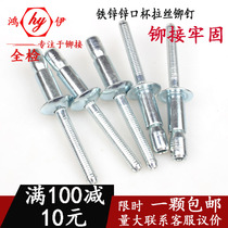 Iron and iron round head countersunk head drawing rivet Cup type steel structure rivet hippocampus nail 6 4*14*20 4 8
