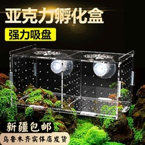 Acrylic guppies breeding box incubator box fish tank isolation box ovipositor fish egg breeding box small fish delivery room