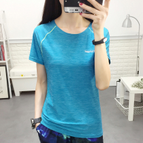 Outdoor quick-drying clothes womens short-sleeved T-shirt spring and Autumn running fitness stretch breathable slim slim fast-drying half-sleeve mens T-tide