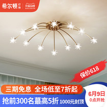 Hilton all copper American led ceiling lamp bedroom lamp room marriage room children's room northern Europe creative individual lamp