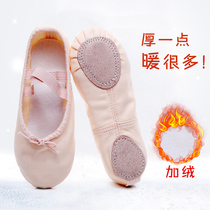 Childrens dance shoes canvas soft-soled cat paws young girls practice Shoes ballet shoes ballet shoes pointy shoes plus Velvet