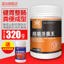 Live bacteria King pigeons with the water green stool supplies medicine health care conditioning intestinal special common disease pigeon medicine Daquan