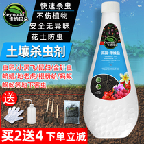 Soil insecticides, household underground pests, general flowers, plants, flowers, plants, pots, flowers, soil, insecticides, disinfestations