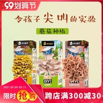 Childrens fun science experiment set diy handmade material mushroom planting bag girl steam toy