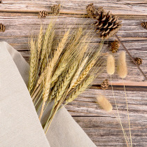 Natural Wheat Ears Wheat Ears 1 Bunch 7 Wheat Ears Photo Photography Background Cloth Props Decorations Floral Art Shooting Props