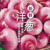 2020年现挖紫皮洋葱农家种植5斤批发蔬菜红皮洋葱鬼子葱圆葱