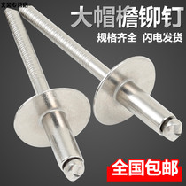 304 all stainless steel big hat brim core rivets large flat head pull nail big head nail big head Willow nail big hat edge riveting steel nail