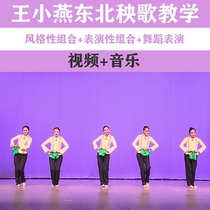 2020 Wang Xiaoyan Northeast Yangko textbook Basic skills combination finished dance performance combination dance dance music video music