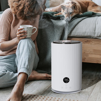 Curtain Rain New Pine (H1) 5L Low-noise air humidifier Home floor Large-capacity intelligent constant wet humidifiers
