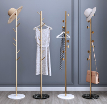 Nordic ins light luxury simple coat rack floor bedroom simple modern living room entrance wrought iron hanger