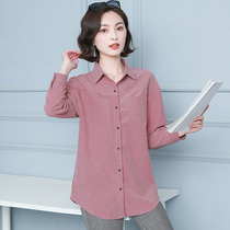 Women's shirts design sense niche large size slimming women's autumn and winter tops loose cover belly solid color long-sleeved shirt