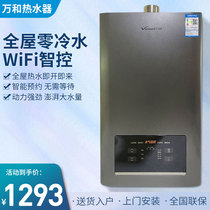 Wanhe Gas Water Heater Electric Household Natural Gas 13L14L Bathing Instant Antifreeze Variable Frequency Constant Temperature Strong Discharge