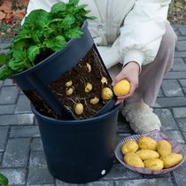 Potato Planting Bucket Family Indoor Balcony Vegetables Vegetable Planting Pots Children Natural Science Potted