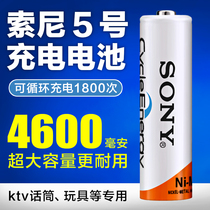 SONY rechargeable battery No 5 large capacity 1 2VKTV microphone microphone toy No 7 remote control rechargeable battery