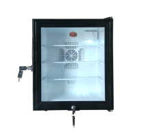 Ruyi Year Wah Kindergarten Food Remain-like cupboard School Small Home Commercial Beverage Refrigerated Refrigerator Refreshing Display Cabinet
