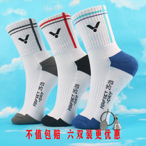 Victory thickened badminton socks mens long tube Wickmore cotton sweat-absorbing basketball socks towel bottom sports socks high tube