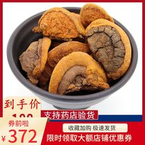 Wild Phellinus Mulberry Phellinus Phellinus Tibetan Phellinus 250g provides sliced pruned wild Phellinus Ganoderma lucidum
