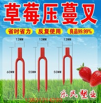Round mouth extended strawberry fork nursery Vine Press seedling fork vine plant retainer cranberry root to enjoy a new style