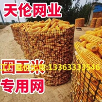 Thickened Plastic Mesh Grid Breeding Fencing Nets Breaded Chicken Leaking Manure Nets Climbing Vines Web Circles Cornnet Geotechnical Grilles