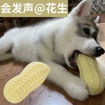 Dog toys resistant to biting molars vocal peanuts medium dog Corky fighting dogs boring artifact big dog