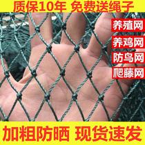 100 m poultry chicken net blocking chicken breeding net vegetable garden net fence net chicken net chicken nylon net
