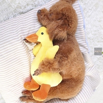 Male dog vent fire toy dog dog toy plush voice vent resistance to bite small dog dog dog dog