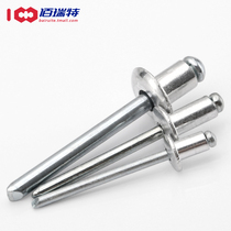 2 4 3 2 4 5 6 4mm flat round head blind rivets pull rivets aluminum studs pull hat nails * 5x6 30
