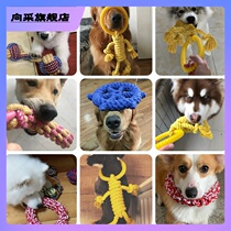 Dog toy pet gold wool resistant to bite large dog toy rope knot dog bite rope Labrador French fighting supplies