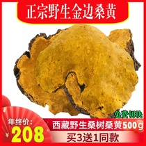 Phellinus wild Special 500g Tibet Autonomous Region specialty official network authentic Phnom Penh wild premium quality