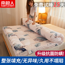 Antarctic tatami mattress upholstered bed mattress double household cushion for single rental room dedicated sleeping mat