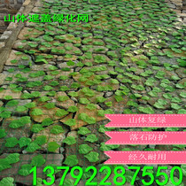 Mountain Greening net green leaf barbed wire mine protection re green hillside cover slope leaf green leaf net