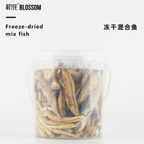 Multi-spring fish freeze-dried cat snacks dried fish full of seeds nutrition fattening gills cat snacks calcium supplement unsalted kitten food